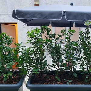 Con Terrazzo Milano